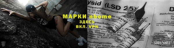 крисы Абаза