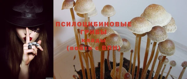 стафф Абдулино