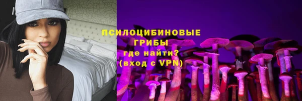 крисы Абаза