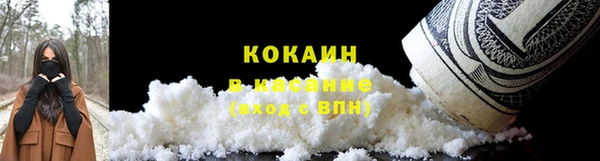 гашик Алексин