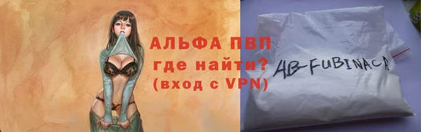крисы Абаза