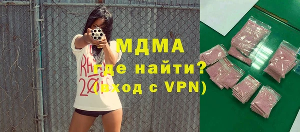 гашик Алексин