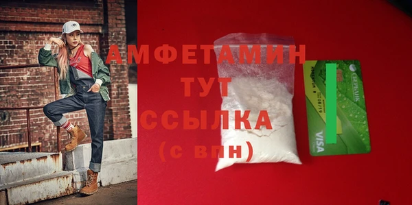 крисы Абаза